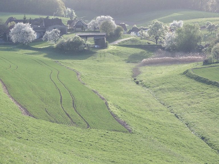 Badezimmer Badezimmere mit Badewanne und Dusche